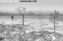 mielenrauhaa-etsimassa