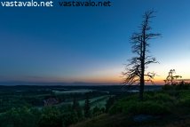 yksinainen-puu-ja-auringonlasku