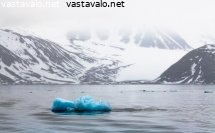 vauvajaavuori