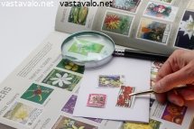 postimerkkien-harrastaja