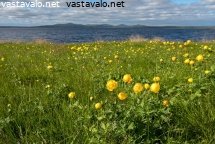 kulleroniitty-muteniassa