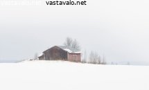yksin