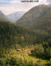 mokkitontti