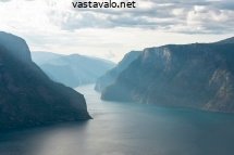 vuono