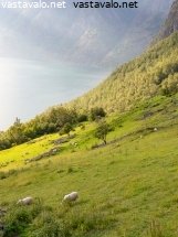 lammaslaidun