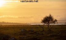 yon-yksinainen