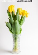 tulppaanit