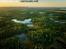 metsainen-lapinmaisema