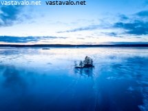 saari-ulapalla