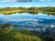 heijastuksia-suolammessa