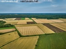 peltolohkoja-elokuussa