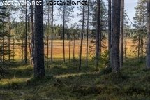 juortanansalo-lapinsuo