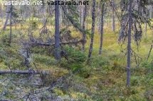 poronhoitoalueen-raja
