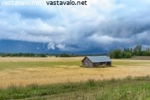 vantaalla-luonto-on-lahella