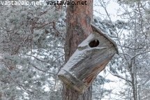 kololinnun-koti-kallellaan