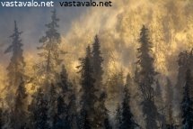 tunturin-syleilyssa