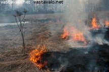 hallittua-polttamista