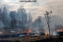 uuden-kasvun-edistamista