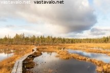 kulkua-helpottamaan