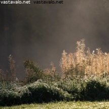 luonto-lavasti-nayttamon