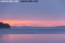 kuikat-iltauinnilla