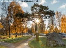 auringonsateet-lokakuisena-aamuna