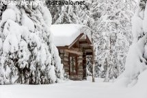 piilopirtti-talvisessa-metsassa