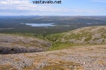 jaurutuskuru