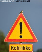 vartiossa