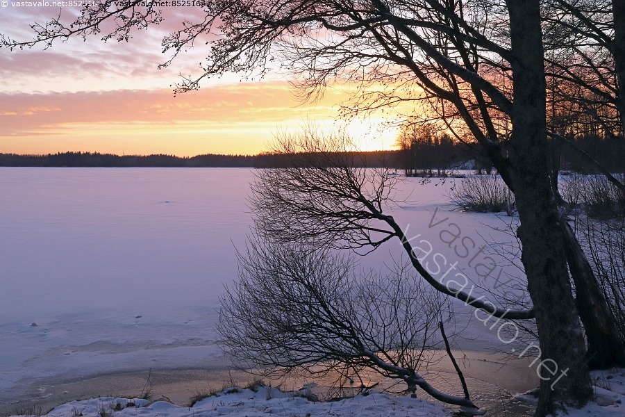 kuva-auringonlasku-lotilanj-rvi-j-rvi-puu-puut-valo-aurinko-ilta