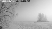 ranta-ja-saari