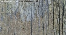 vanha-jakaloitynyt-lankkuovi