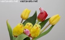paasiaistiput