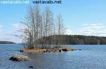 saari