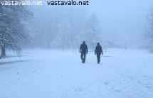 kavelijat