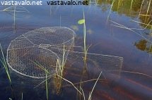 katiska-jarvessa