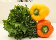salaatti-ja-paprikat
