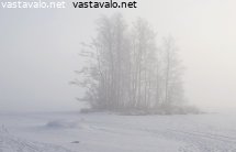pieni-saari