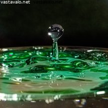 pisara-lasissa