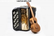 harmonikka-ja-ukulele-duo