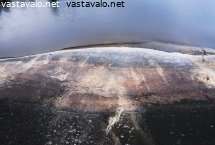 ranta