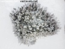umpisaari