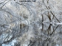 lumiset-puut-vantaanjoen-ylla