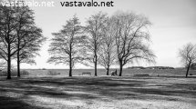 lauttasaaren-rantaa