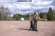 tottelevaisuutta-hiekkakentalla
