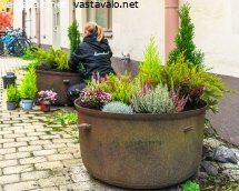 syysistutusten-aika