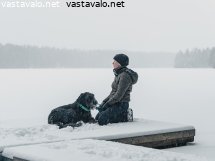 talvipaivan-ulkoilua-koiran-kanssa