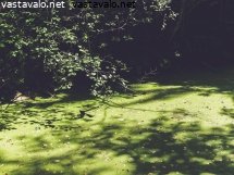 valoa-ja-varjoja