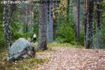 ulkoilureitti