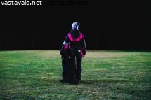 koira-ja-koiranohjaaja